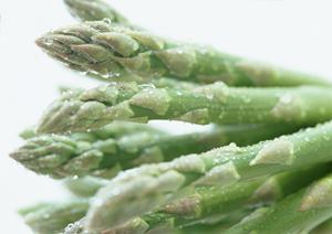 ホストクラブの常識を打破するスタプロ